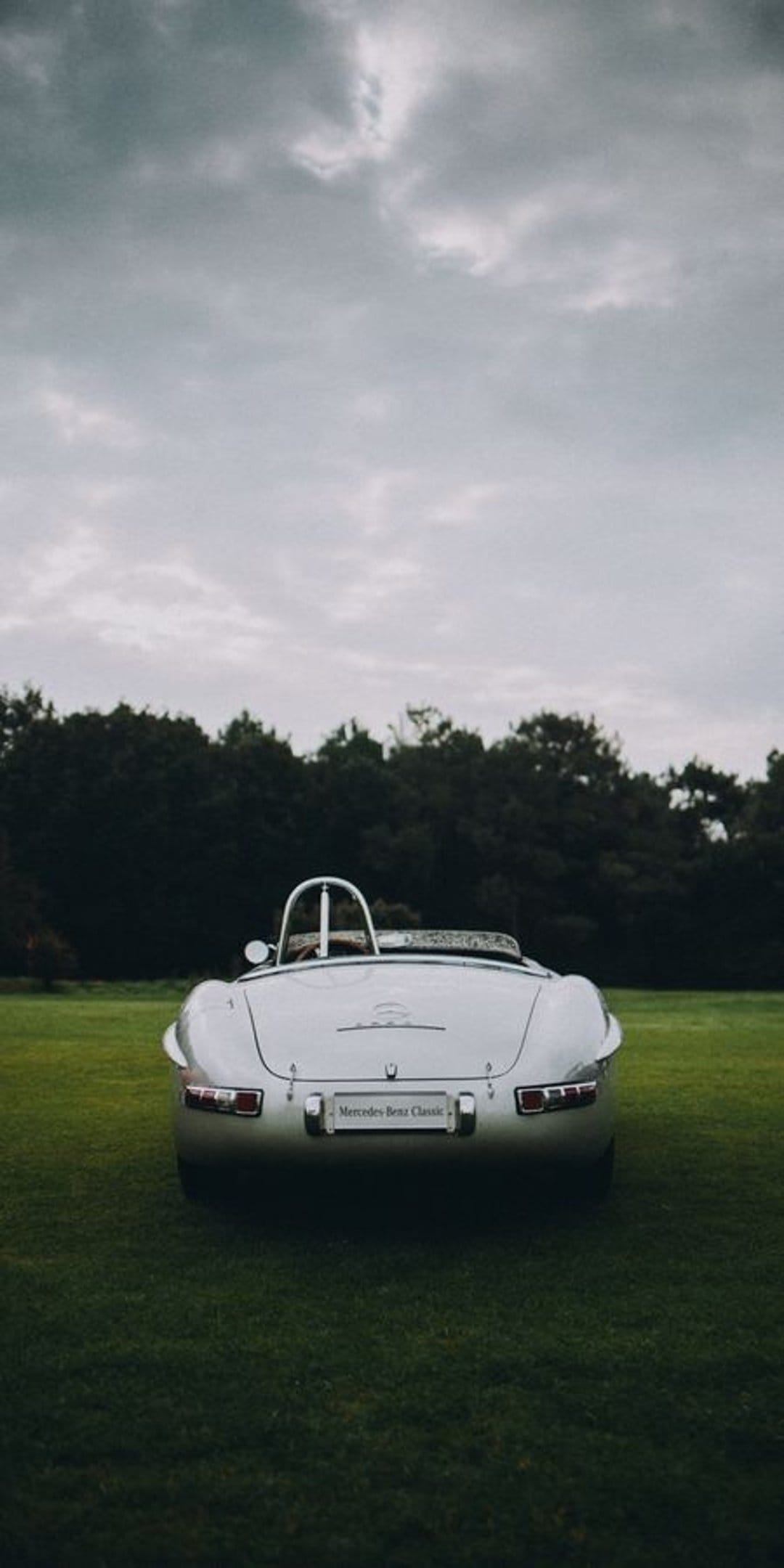 Mercedes-Benz 300 SL Roadster rear view parked on green grass with a dramatic cloudy sky and dark trees behind.