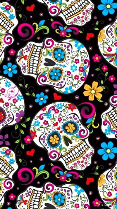 Sugar Skulls,black,colorful,colors,dead,death,flower,flowers