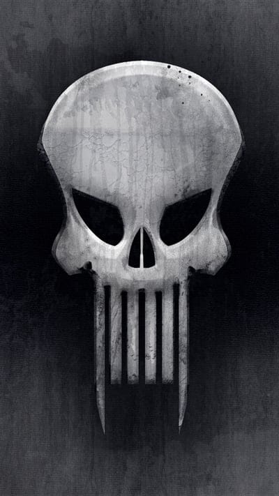 punisher,skull