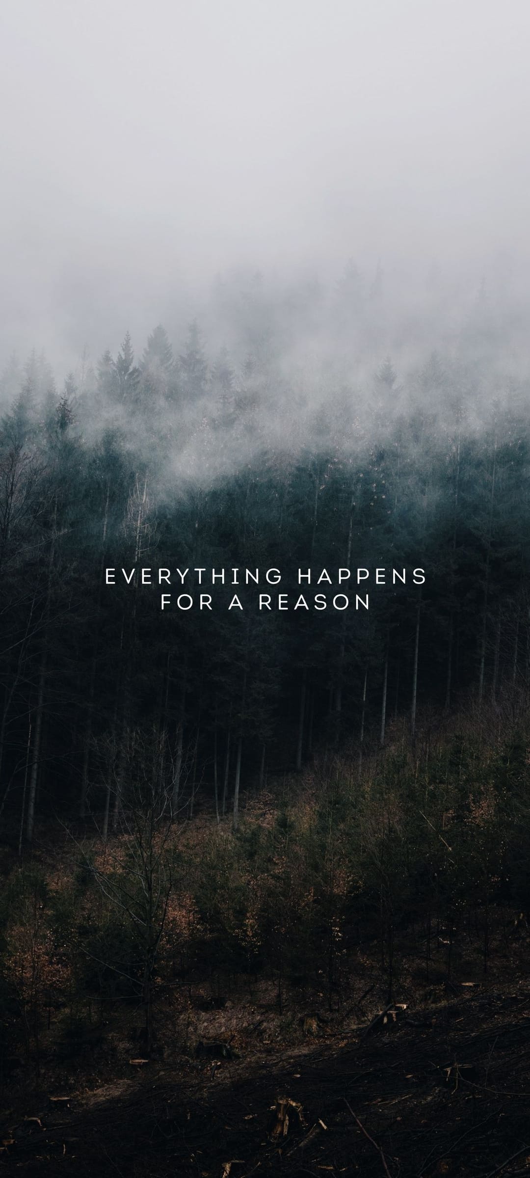 Silhouetted trees stand in dense grey fog behind the white text everything happens for a reason.