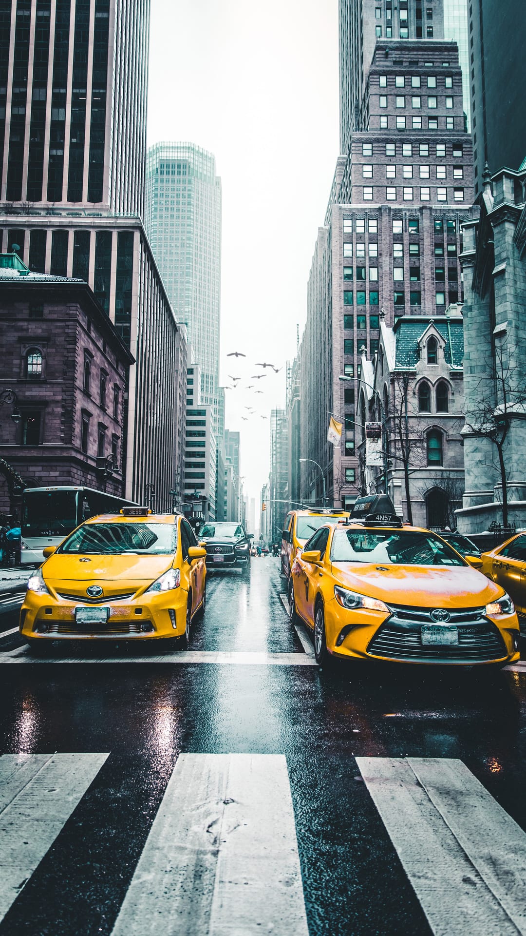 Yellow cabs drive across a rain-slicked city intersection surrounded by towering buildings and an overcast sky.