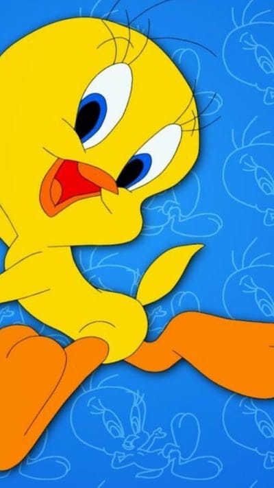 tweety bird, cartoons