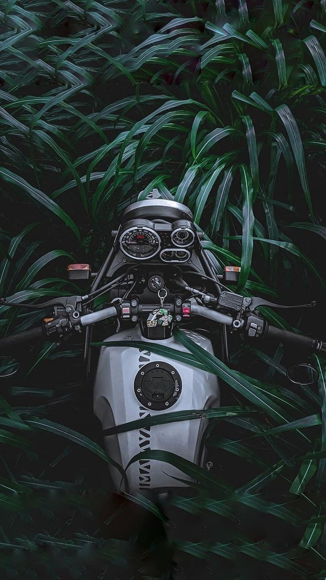 White motorcycle handlebars and dashboard gauges partially obscured by large, dark green tropical forest leaves.