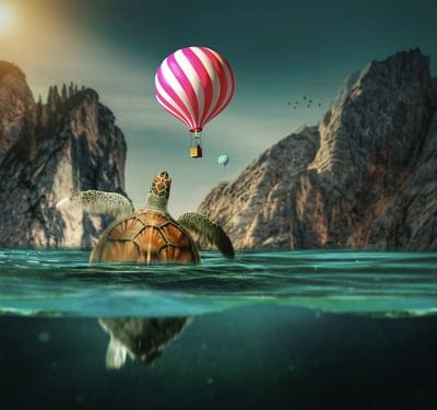 turtle,full hd wallpaper,tortoise,hot air balloon,lake,hd wallpaper,4k wallpaper,windows wallpaper,wallpaper hd,nature,rocks,mac wallpaper,free wallpaper,laptop wallpaper,beautiful wallpaper,cool backgrounds,free background,wallpaper 4k,desktop background