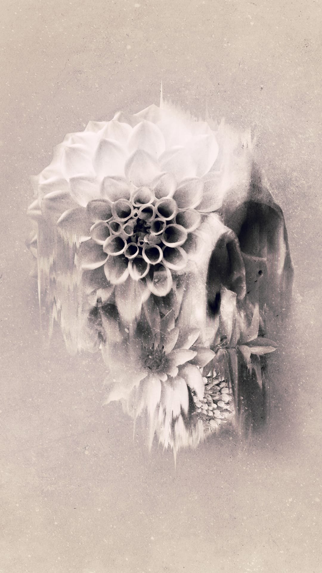 Human skull adorned with white flowers features digital distortion and sepia tones against a dark background.