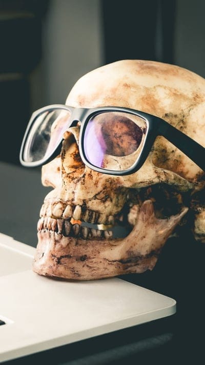 bones,skull,laptop,halloween,glasses,funny