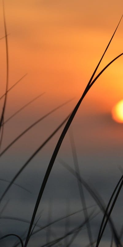 sunset wallpaper,sunrise,sun,iPhone wallpaper,morning wallpaper