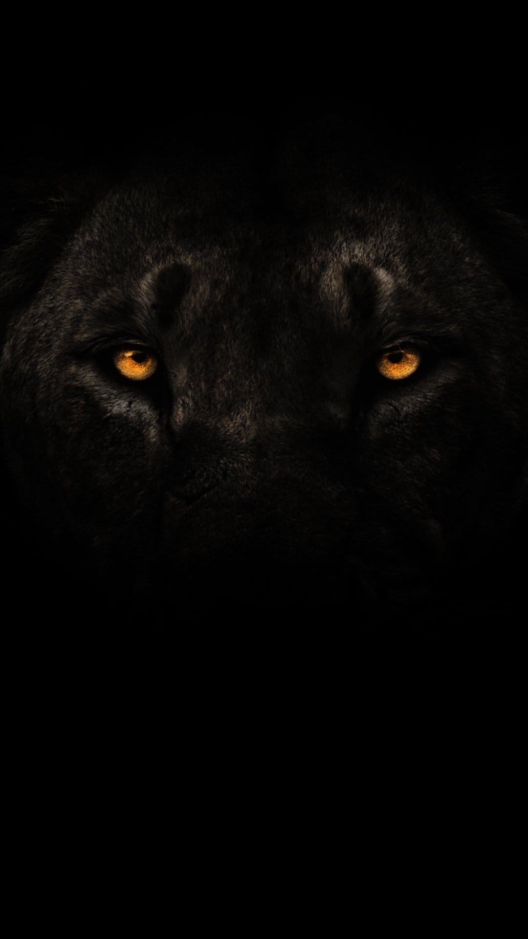 Black panther with glowing orange eyes peers through dark shadows in a close-up vertical wildlife shot.