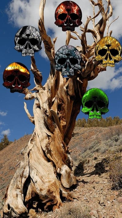Skull Tree, skull, theme