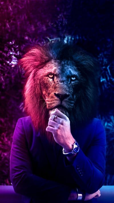 man,lion,head,costume,art