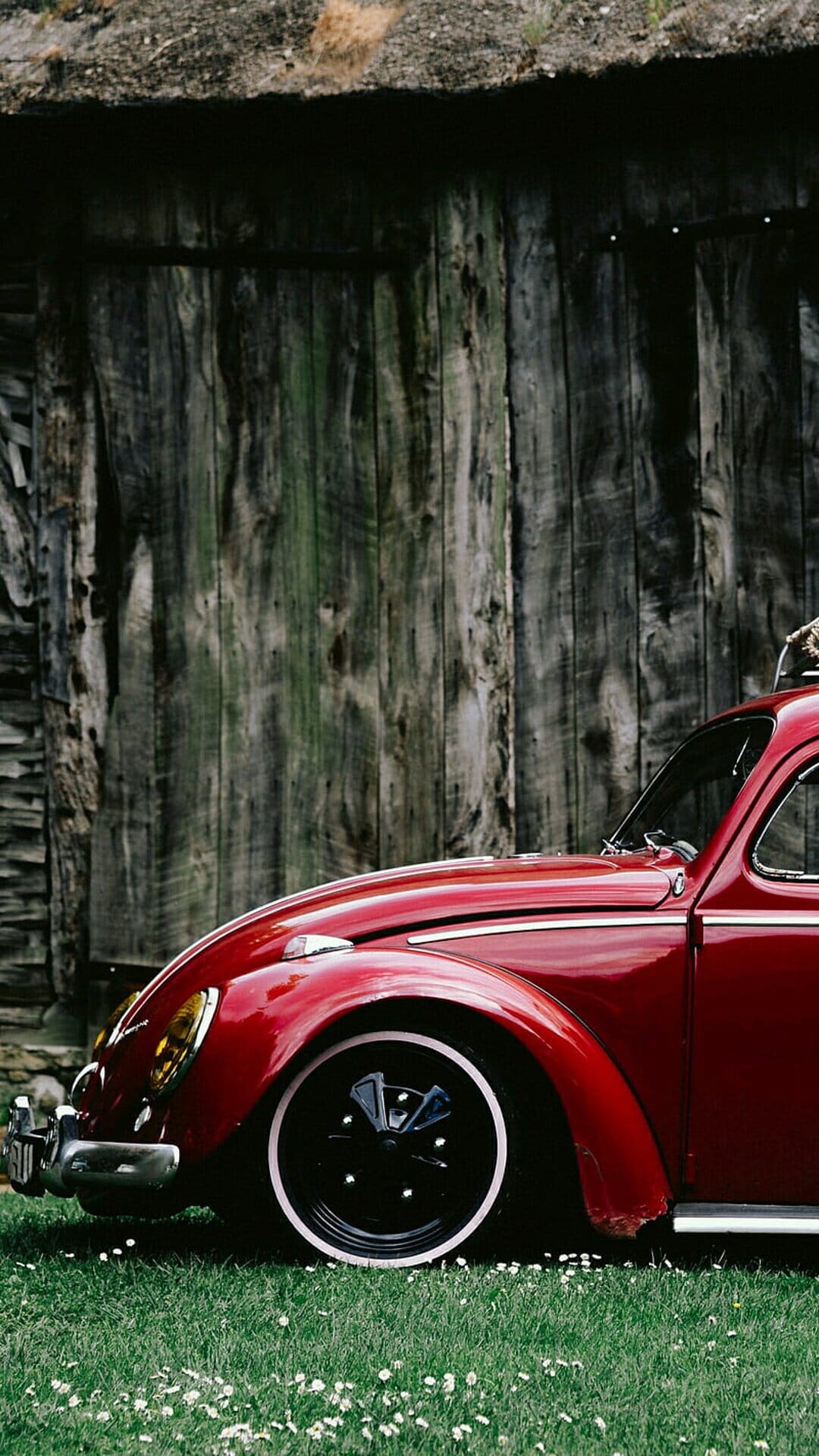 Red Volkswagen Beetle with yellow headlights parked on green grass in front of a weathered rustic wooden barn.