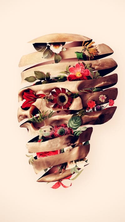 Sliced Skull,Ali,ali gulec,art,floral,flower,gothic,nature,skull art,skull background,sugar skull