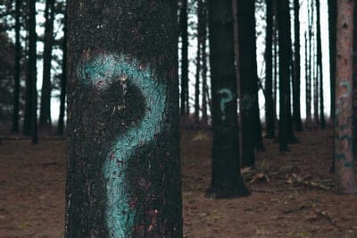 Horror  forest,Horror  wallpaper,question mark wallpaper,horror background 