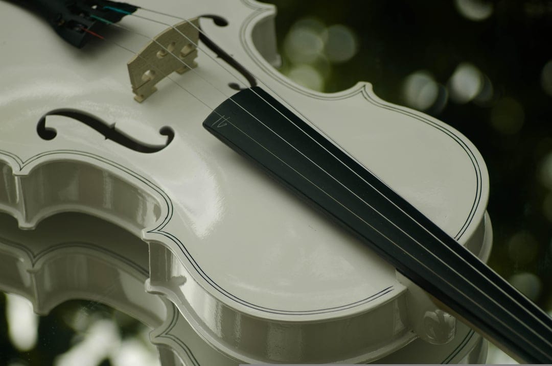 White violin with a dark fingerboard and bridge shown in a close-up view against a blurred bokeh background.