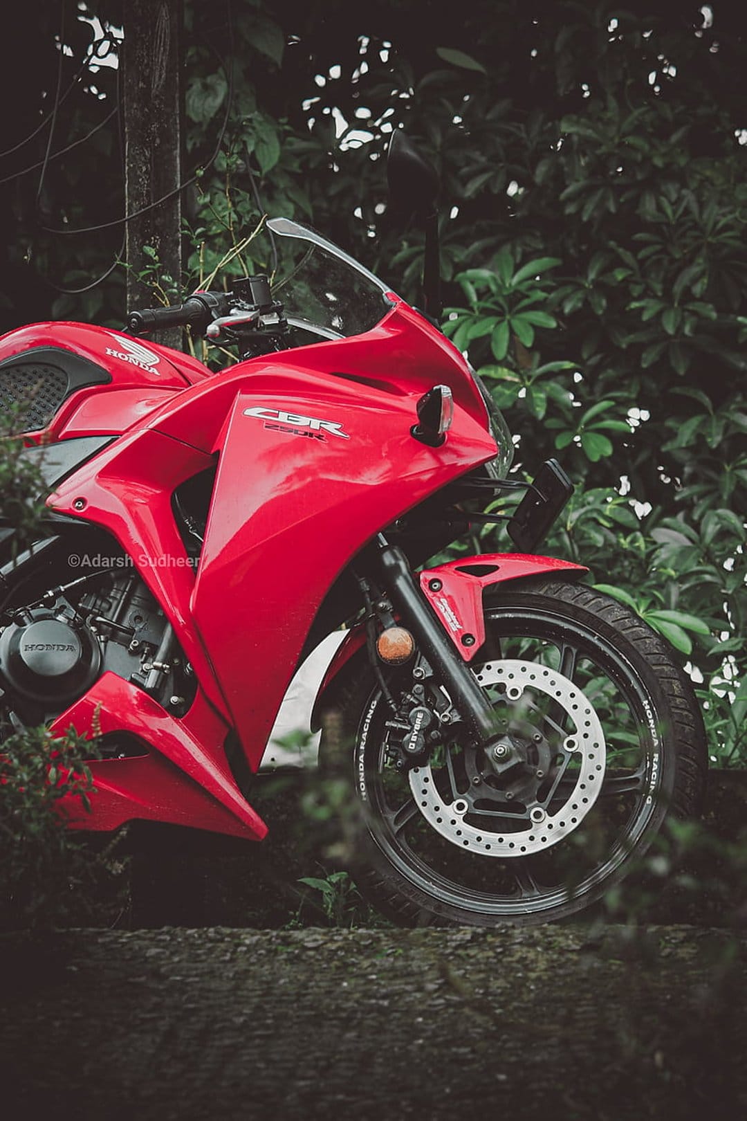 Red Honda CBR sportbike featuring a front disc brake and glossy fairing parked in a lush green forest setting.