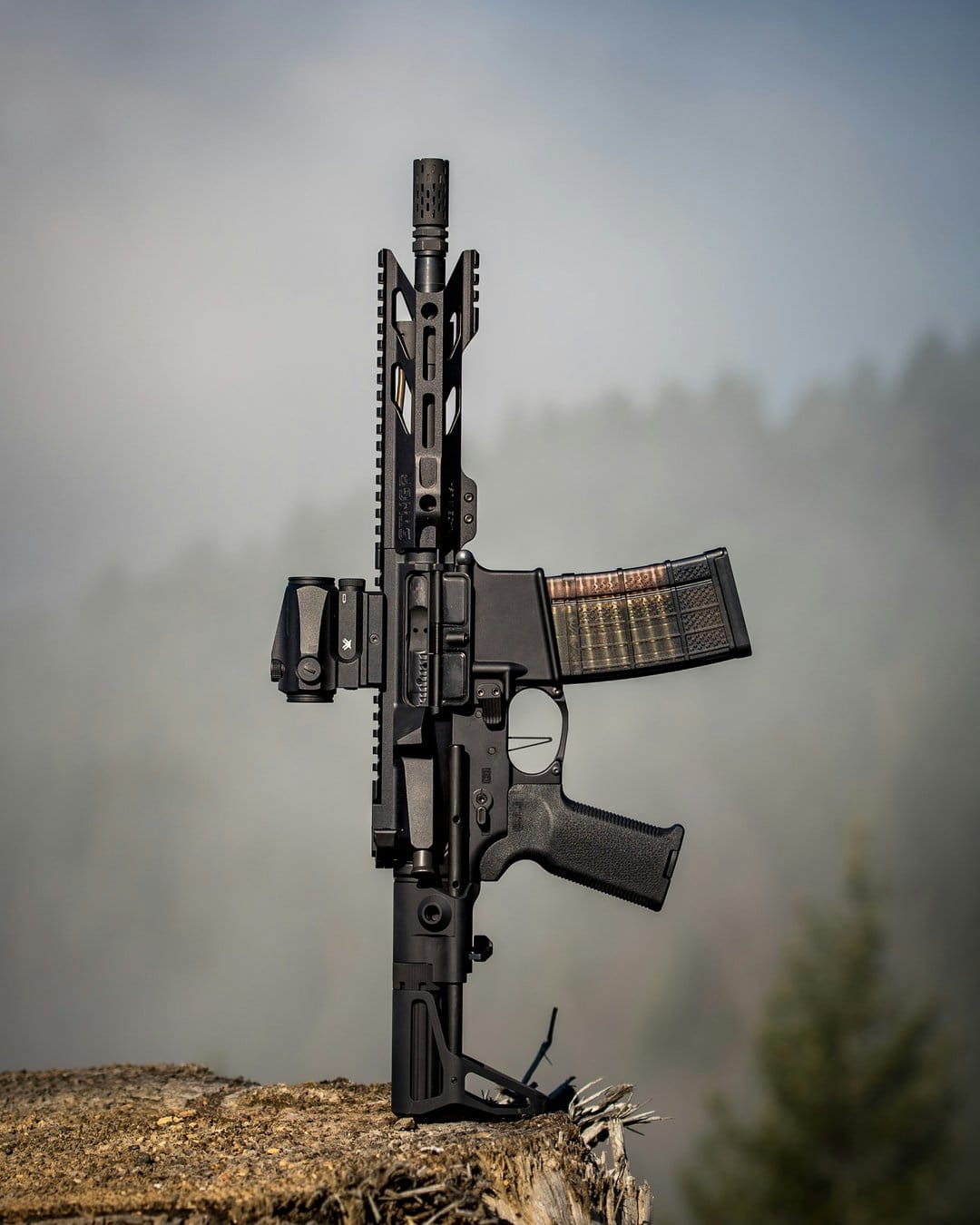AR-15 rifle with an optic sight and loaded magazine stands vertically on a tree stump in a misty pine forest.