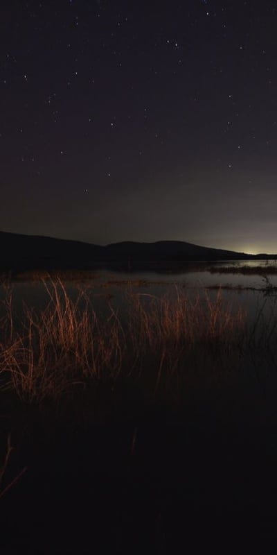 Night, Stars, Lake, Illuminated Reeds, Tranquility, Mountains, Peaceful, Dark Sky, Water, Reflection, Calm, Outdoors, Serene, Wilderness, Glow, Moonlight, Stillness, Horizon, Atmospheric, Mystical