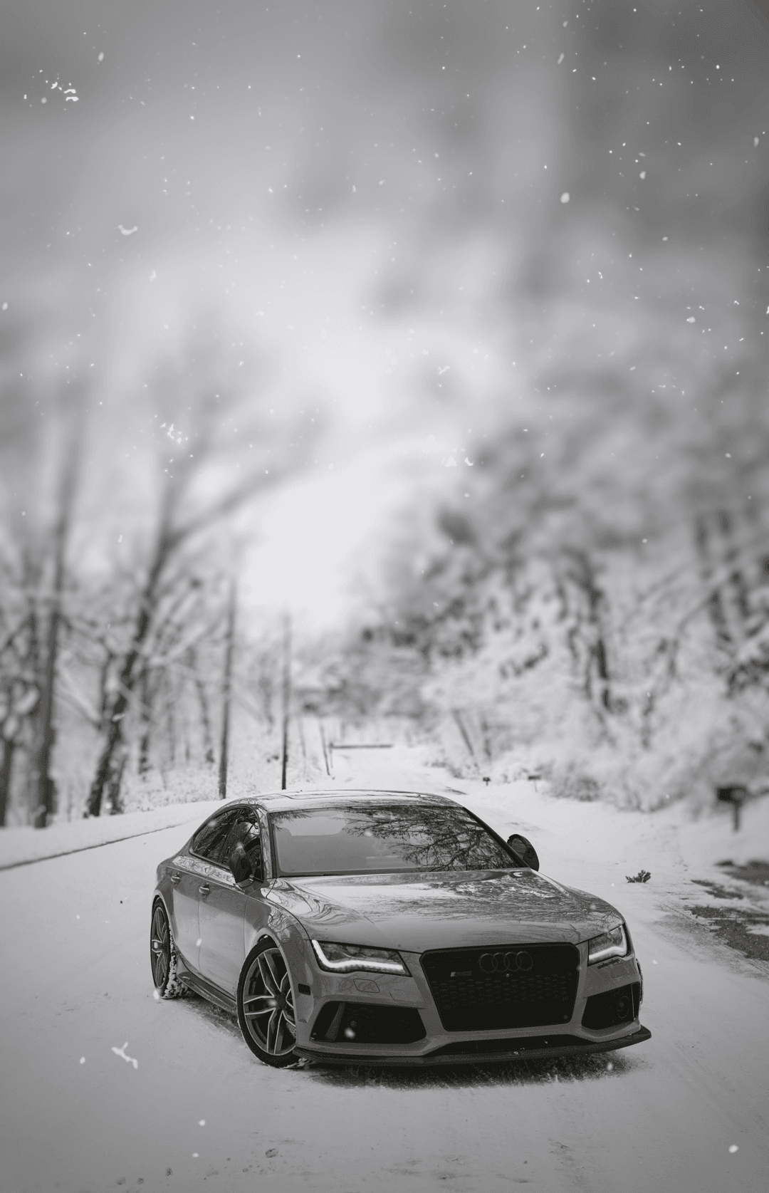 Audi sedan parked on a snow-covered road within a monochrome winter forest during a light snowfall.