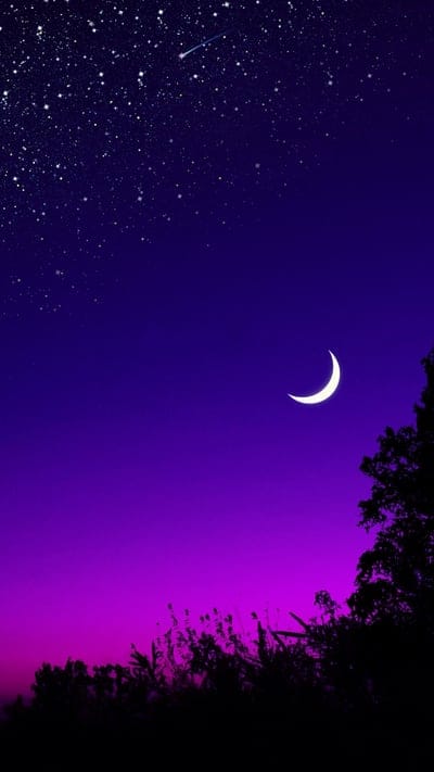 mooninblackforestinblackpurplestarysky,mooninbluepurplestarysky,moonstarsinpurplesky,blackforestinstarysky,starysky,starynature,night,nature