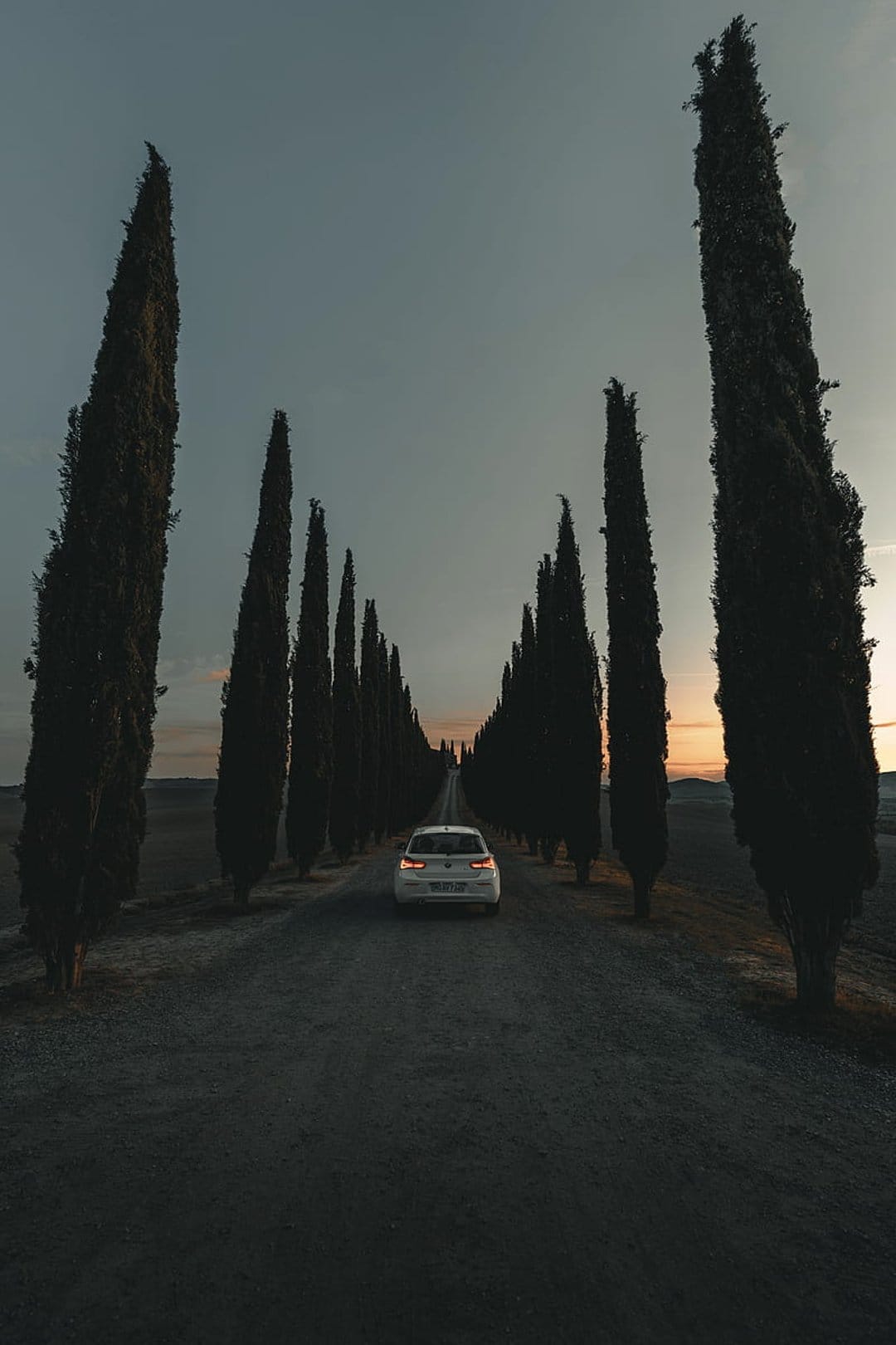 White car drives down a gravel road between tall cypress trees under a blue and orange twilight sky at sunset.