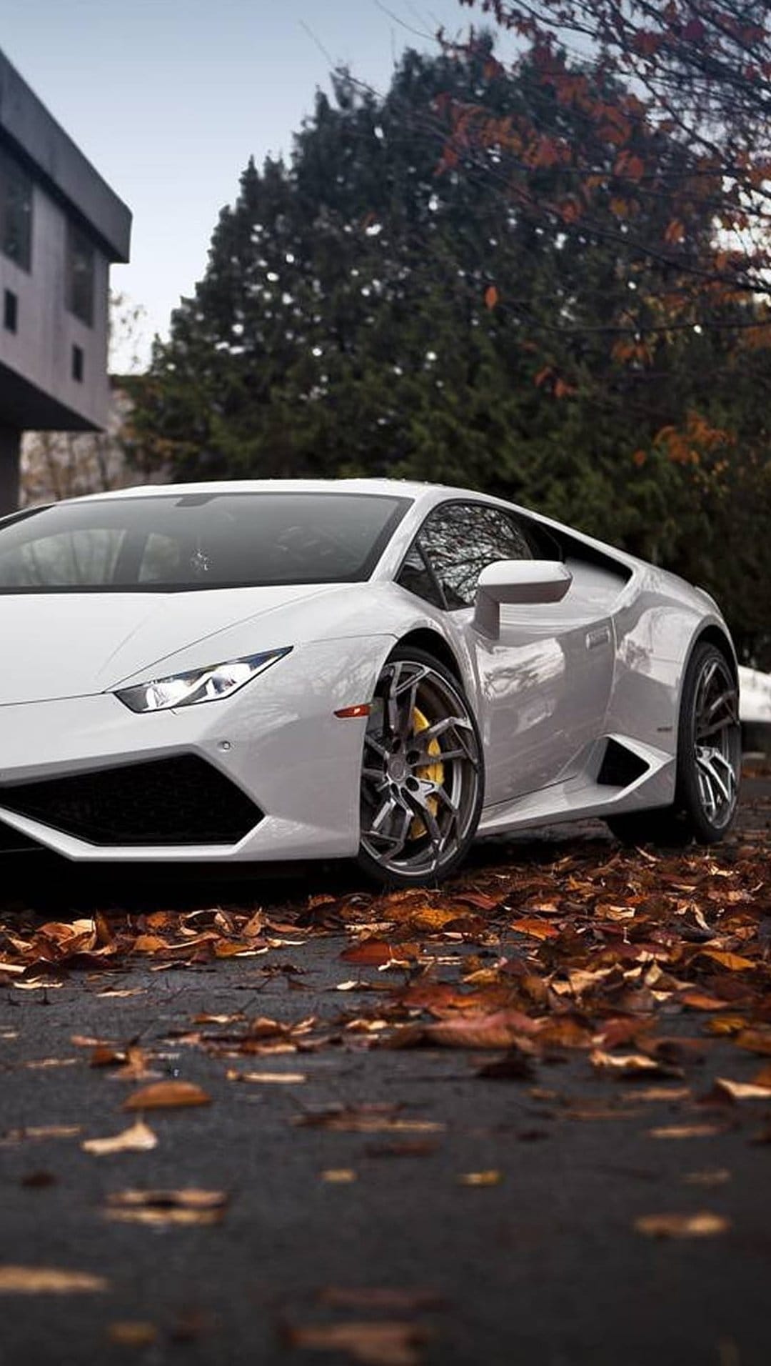 White Lamborghini Huracan parked on a bed of orange autumn leaves viewed from a low perspective on a driveway.