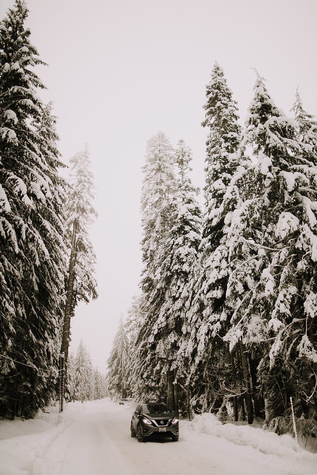 Car driving on a white snow-covered road between tall frozen evergreen trees in a dense wintry forest.