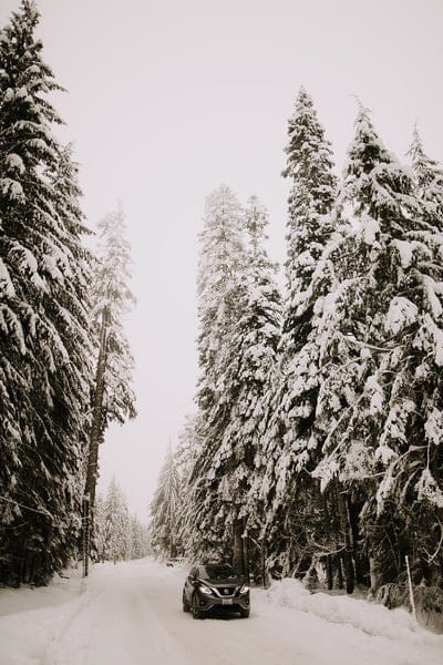 nissan, car, suv, snow, trees, mobile wallpaper, android wallpaper, iPhone wallpaper, phone wallpaper