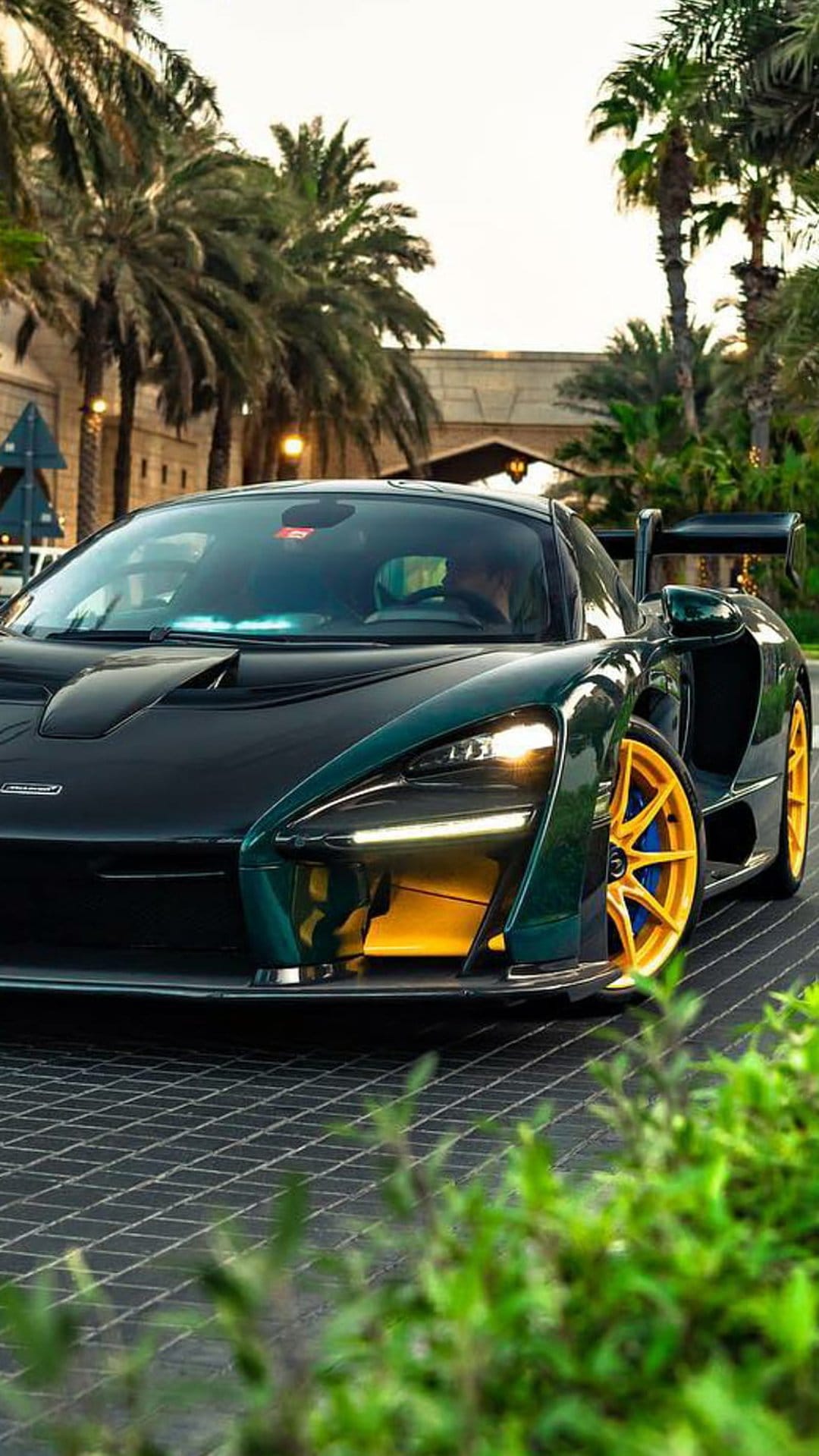 McLaren Senna supercar in dark green with gold wheels parked on a stone driveway beside tropical palm trees.