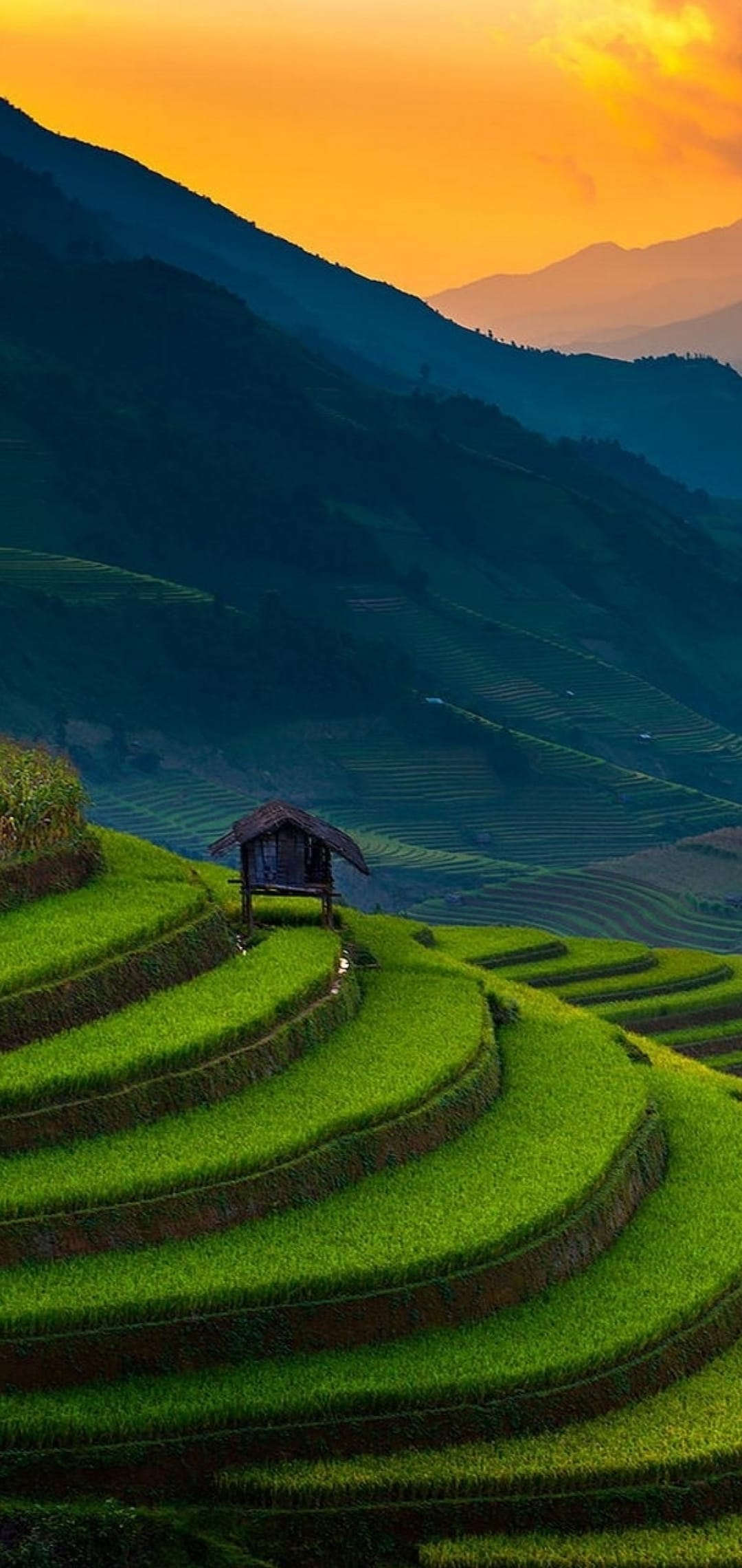 Layered green rice terraces cascade toward a wooden hut under a vibrant orange and yellow sunset sky.