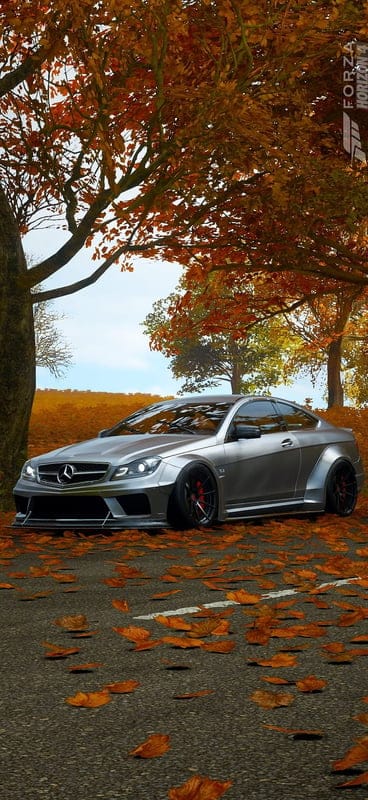 Mercedes-Benz C63, car, nature, mobile wallpaper, android wallpaper, iPhone wallpaper, phone wallpaper