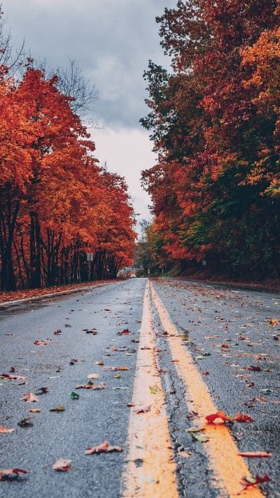 autumn,longway,road