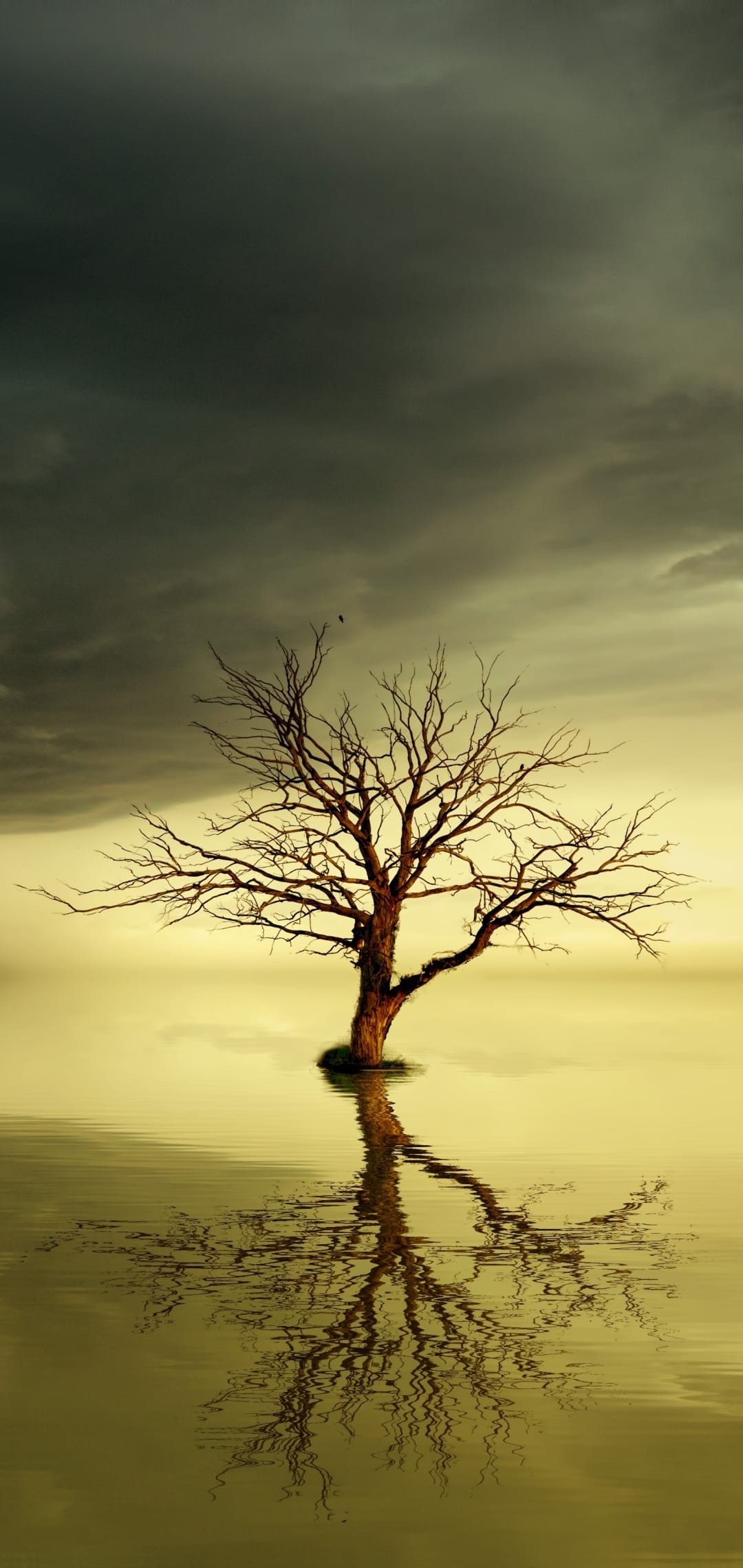 Leafless tree reflected in golden water beneath a dark stormy sky, showcasing stark branches and calm ripples.