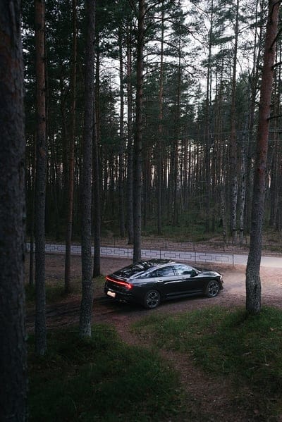 car, black, forest, trees, mobile wallpaper, android wallpaper, iPhone wallpaper, phone wallpaper