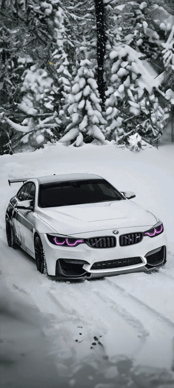 bmw m4,bmw,car,white,froest,snow,winter