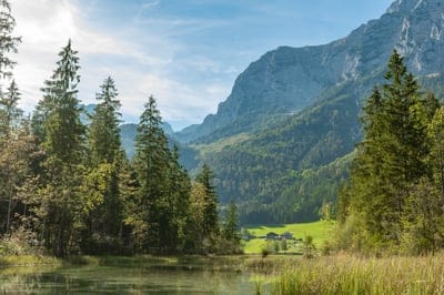 mountain,mac wallpaper,lake,beautiful wallpaper,wallpaper 4k,laptop wallpaper,hd wallpaper,fir trees,cool backgrounds,free background