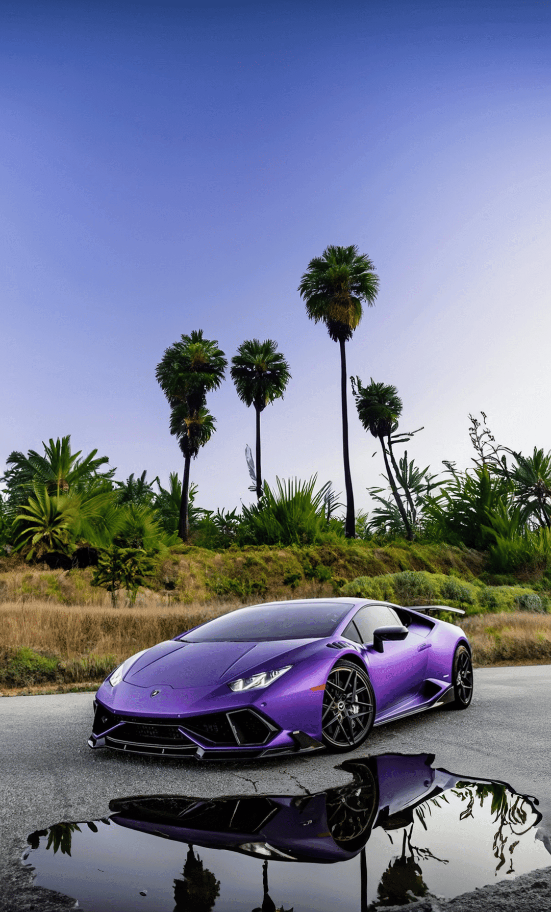 Purple Lamborghini parked on a wet road with puddle reflections and tropical palm trees under a blue sky.
