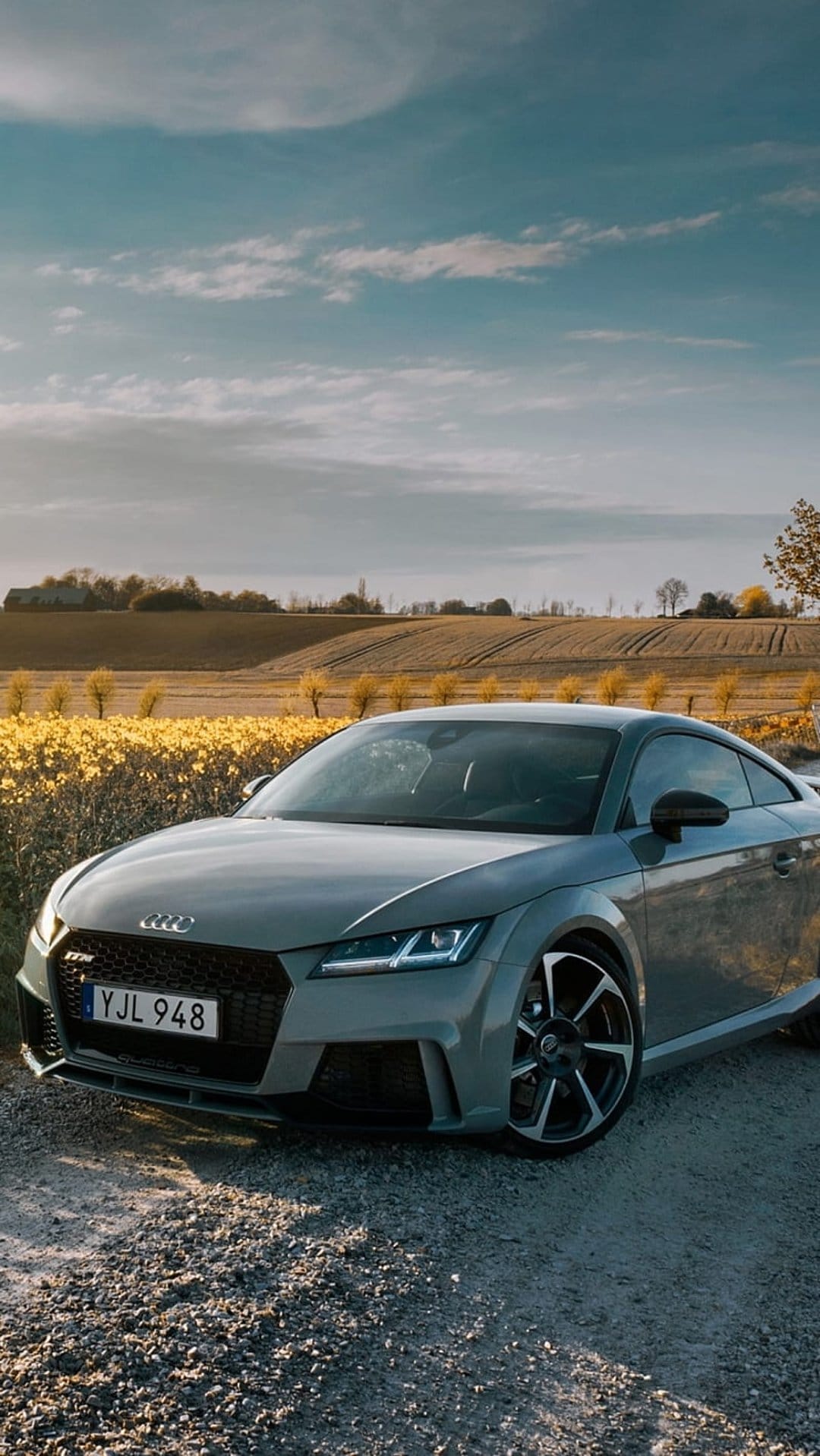 Audi TT RS in grey parked on a gravel road beside a field of yellow flowers under a soft golden hour sunset sky.