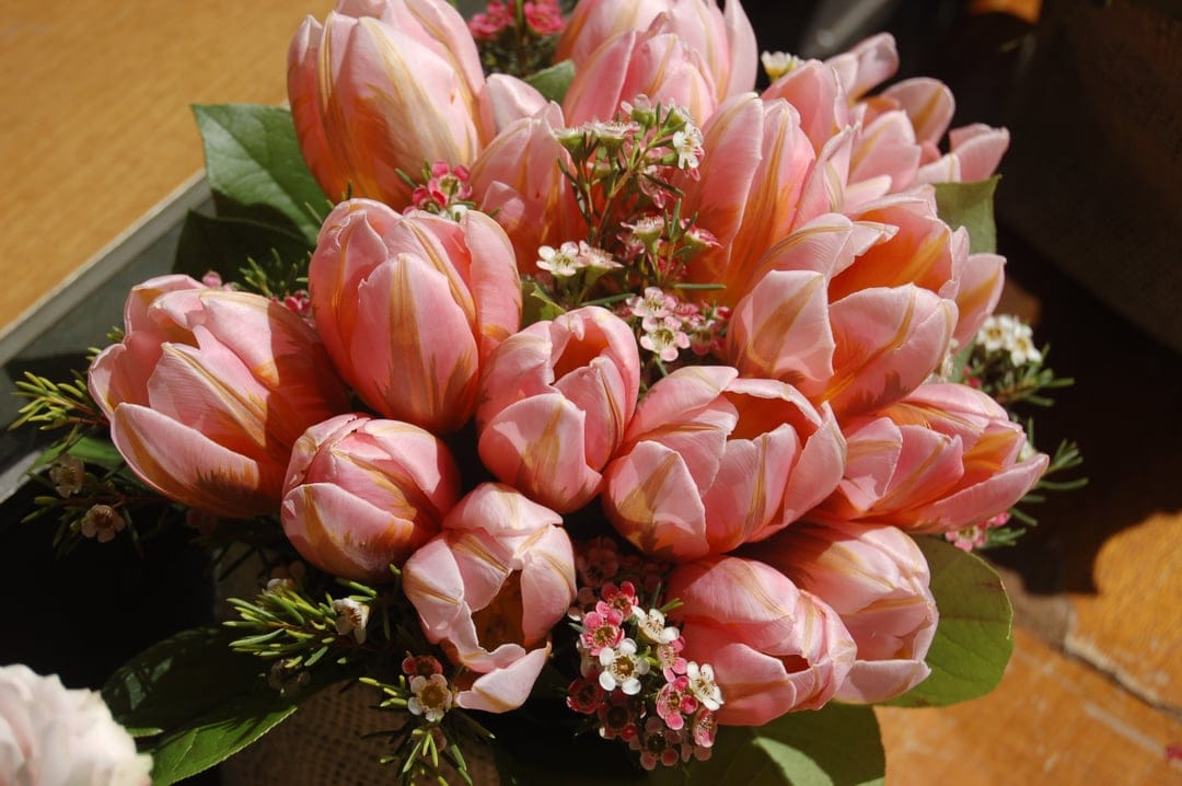 Pink tulips with coral stripes and white wildflowers in a dark vase under warm, natural outdoor lighting.