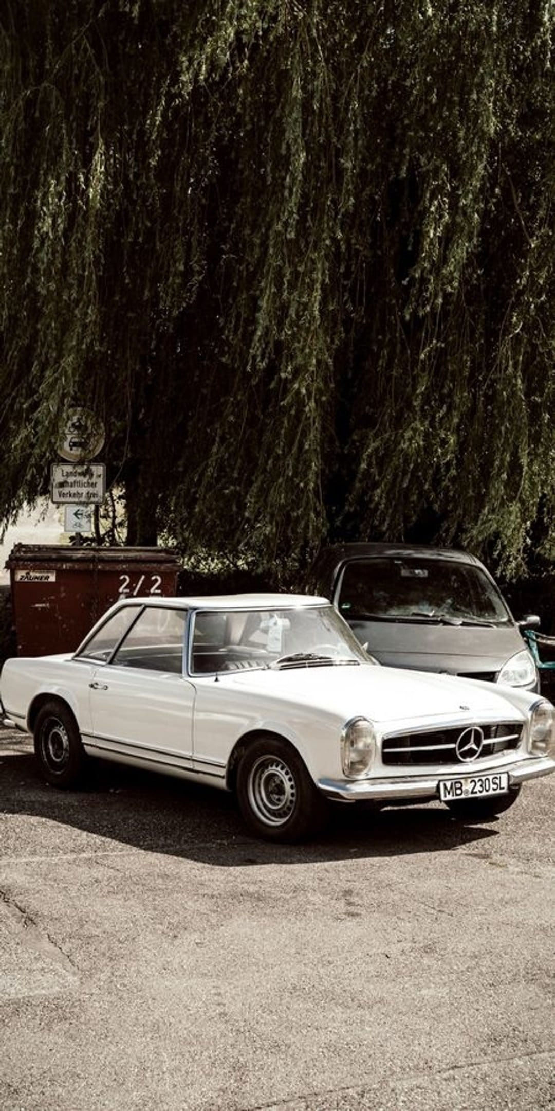 White Mercedes-Benz 230SL Pagoda parked on asphalt under a tree with dappled sunlight hitting the vintage body.