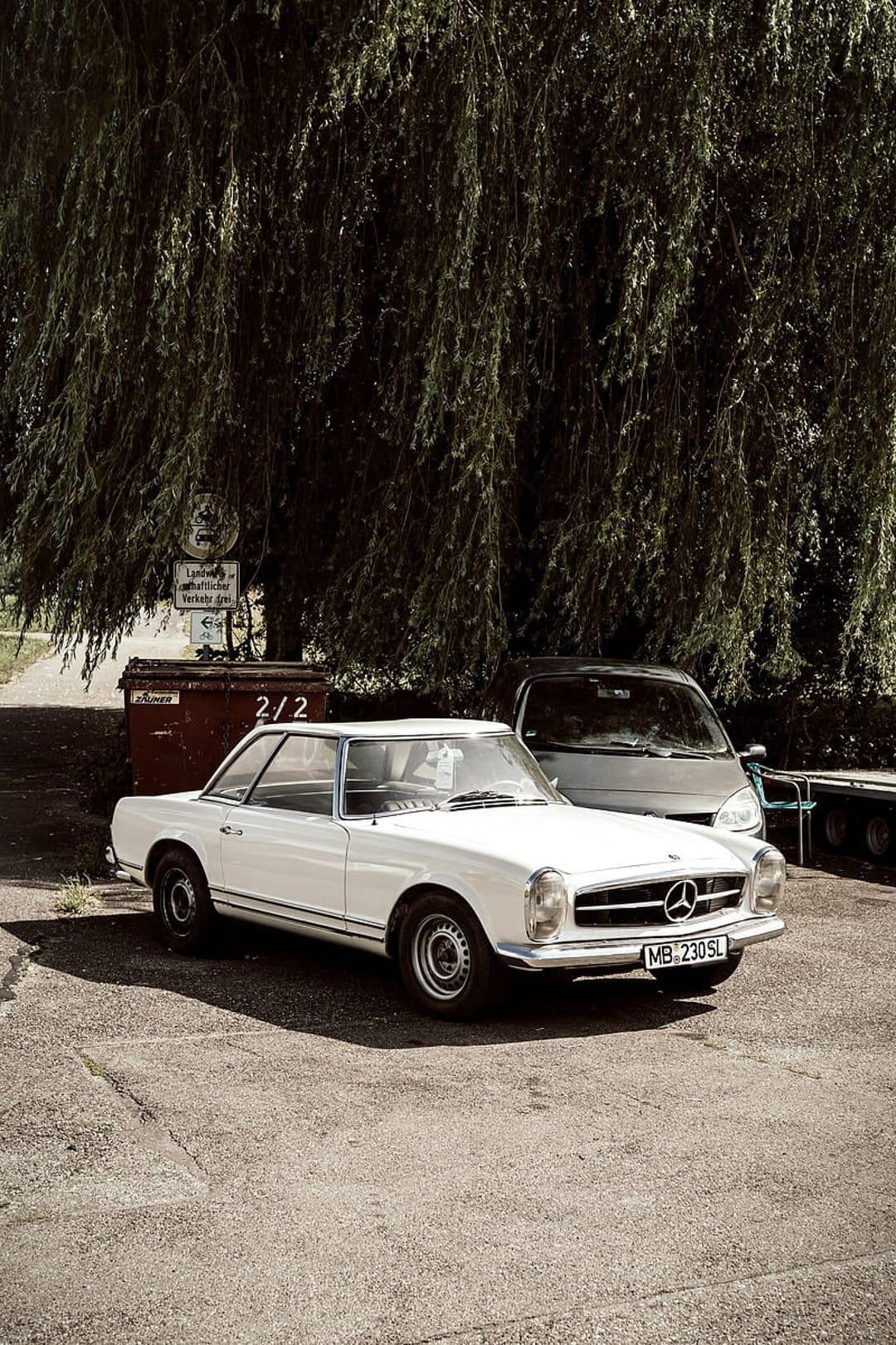 White Mercedes-Benz 230SL convertible parked under the hanging branches of a willow tree in dappled sunlight.