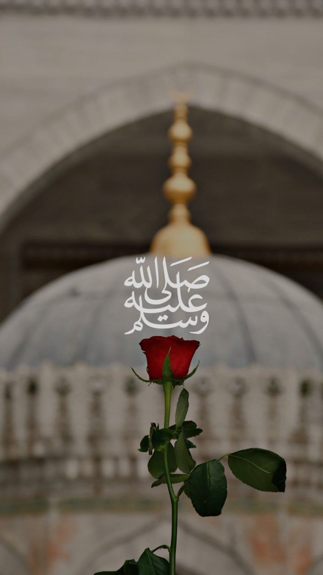 Red rose with green leaves positioned under white Arabic calligraphy against a blurred mosque dome and golden spire.