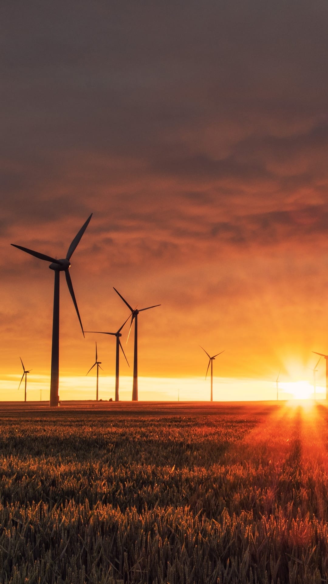 Wind turbines stand silhouetted against a fiery orange and red sunset sky in a vast rural landscape.