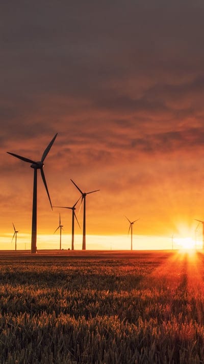 wind turbines, sunset, renewable energy, golden hour, sustainable, power, sky, dramatic, field, modern, future, clean energy, technology, landscape, vibrant, outdoors, eco-friendly, green, beautiful, silhouette