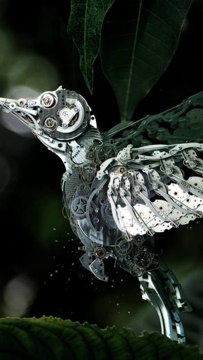 Mechanical Bird, birds, creative