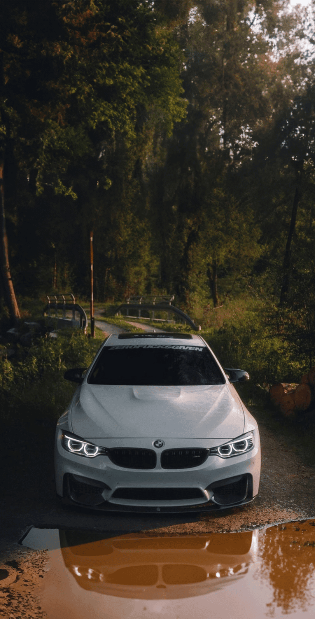 White BMW M4 on a forest road reflected in a small puddle with illuminated headlights and green trees around.