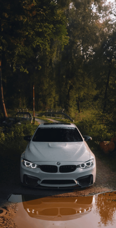 bmw m4,bmw,car,white,road,water,reflection,nature