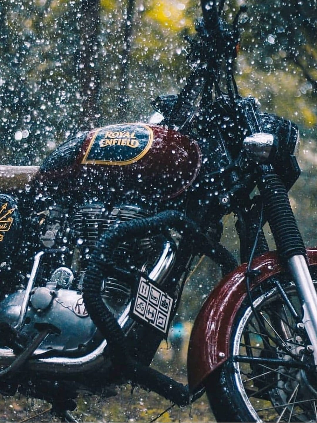 Royal Enfield motorcycle tank with rain splashing on the burgundy paint and chrome details in a blurred forest.