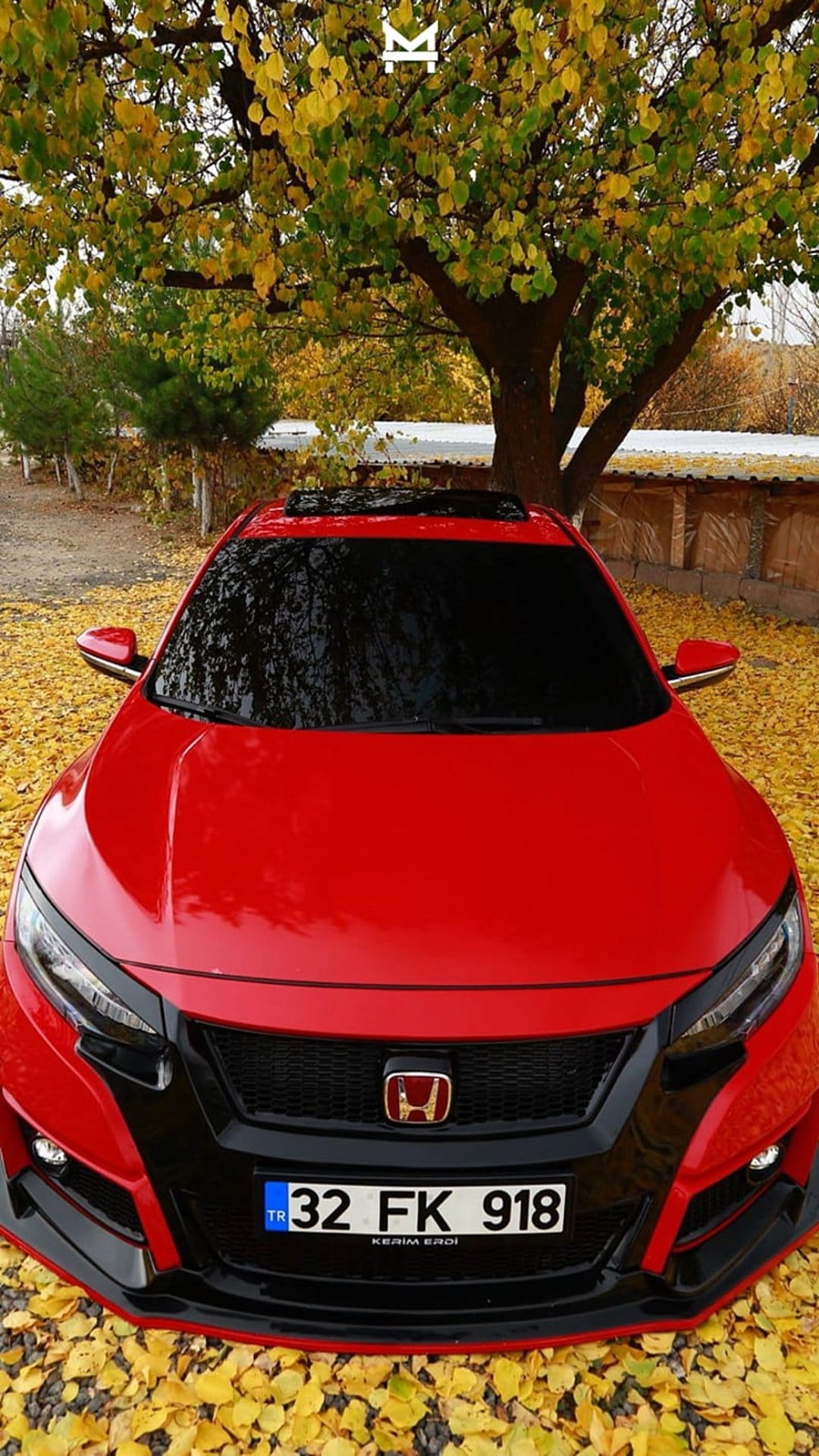 Red Honda Civic parked on a carpet of yellow autumn leaves next to a wooden fence under a seasonal tree.