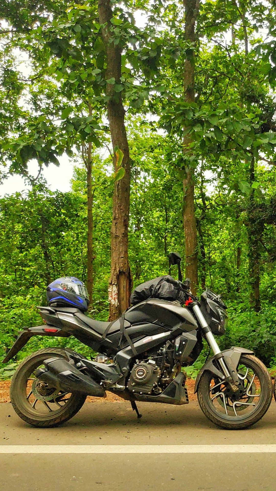 Black motorcycle with a blue helmet parked on a woodland road surrounded by tall trees and lush green foliage.
