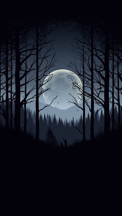 silhouette,trees,forest,moon,black,night